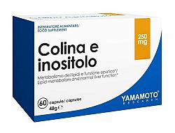 Colina E Inositolo (zdravá pečeň) - Yamamoto 60 kaps.