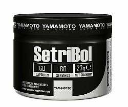 SetriBol (silný antioxidant) - Yamamoto 60 kaps.